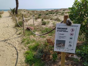 Castellón y SEO Bird Life organizan este domingo una jornada de observación de aves