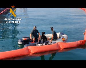 La Guardia Civil incorpora dos perros especialistas en la localización de restos humanos en medios acuáticos al operativo establecido en el Puerto de Castellón