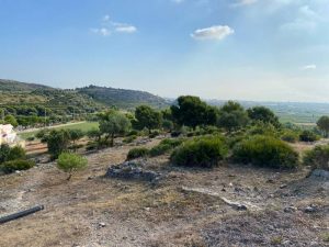 La Llosa limpia y desbroza la montaña del Calvario