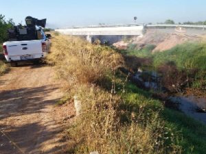 Vila-real intensifica la lucha contra los mosquitos ante la climatología adversa