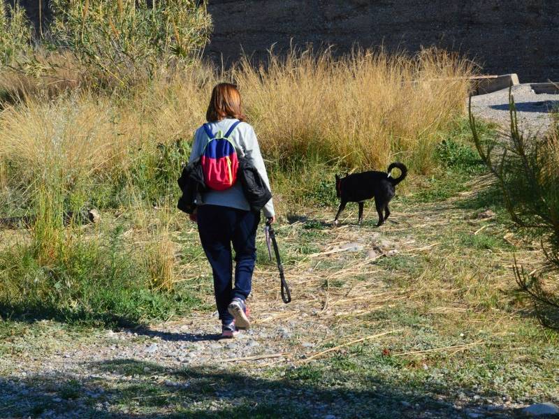 No podrá haber perros sueltos en el Paisaje Protegido de la Desembocadura del río Mijares