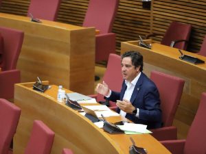 Ciudadanos propone una batería de medidas para combatir la plaga del Cotonet