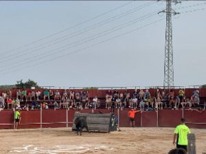 Càlig busca máxima participación en sus Fiestas Patronales