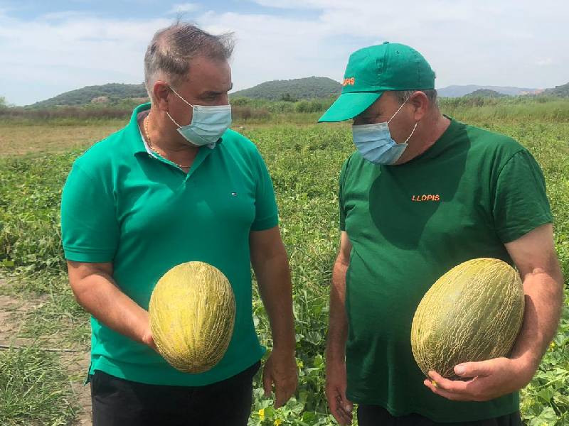 La Llosa, el pueblo del melón