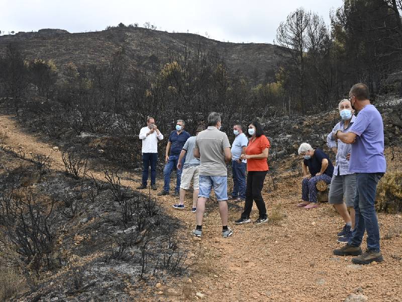 El PSOE pide «zona catastrófica» para los municipios afectados en el incendio de Azuébar