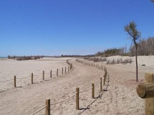 Moncofa mejorará el «Sendero Azul»