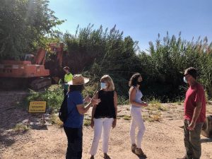 La CHJ atiende la petición de Almassora de arrancar más de 6.000 metros de cañas del Millars La CHJ atiende la petición de Almassora de arrancar más de 6.000 metros de cañas del Millars