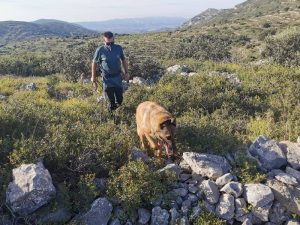 La Guardia Civil localiza el cuerpo sin vida de una persona en Catí