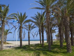 La playa del Pinar reabierta para el baño