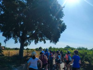 Castellón organiza una ruta ciclista en la Marjalería para realzar su riqueza ambiental y su importancia ecosistémica