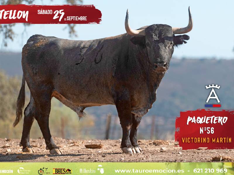 Las taquillas de la plaza de toros de Castellón abren para la venta de entradas del concurso de recortadores con Victorinos