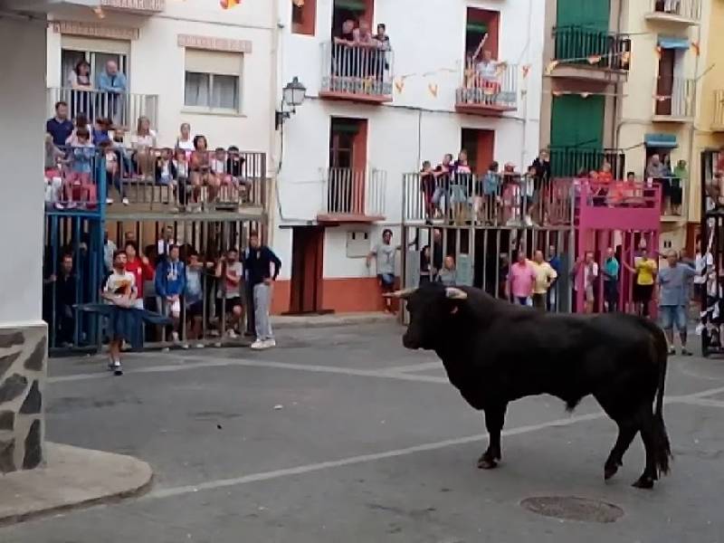 Vuelven los toros a Montanejos