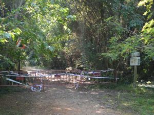 La ruta botánica del Millars sigue cerrada por seguridad ante posibles desprendimientos en el margen del río