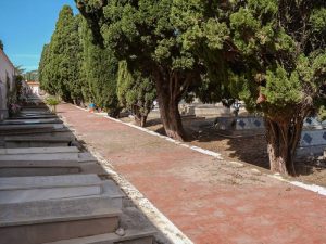 Castellón destinará 225.000 euros en mejoras de viales y drenaje del Cementerio de San José Castellón destinará 225.000 euros en mejoras de viales y drenaje del Cementerio de San José