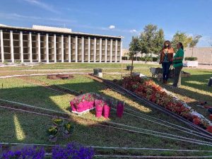 Los alumnos del Centro de Formación de Almassora hacen sus prácticas de jardinería arreglando el cementerio para el próximo día 1 de noviembre