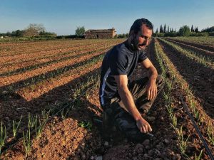 Castellón anima a fotografiar el mejor paisaje agrario con premios de 900, 600 y 400 euros