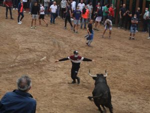 Masiva participación en los bous al carrer de este fin de semana en Nules