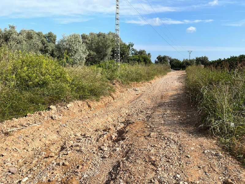 La Unió de Llauradors reclama las ayudas para caminos rurales del Maestrat tras las lluvias por la DANA