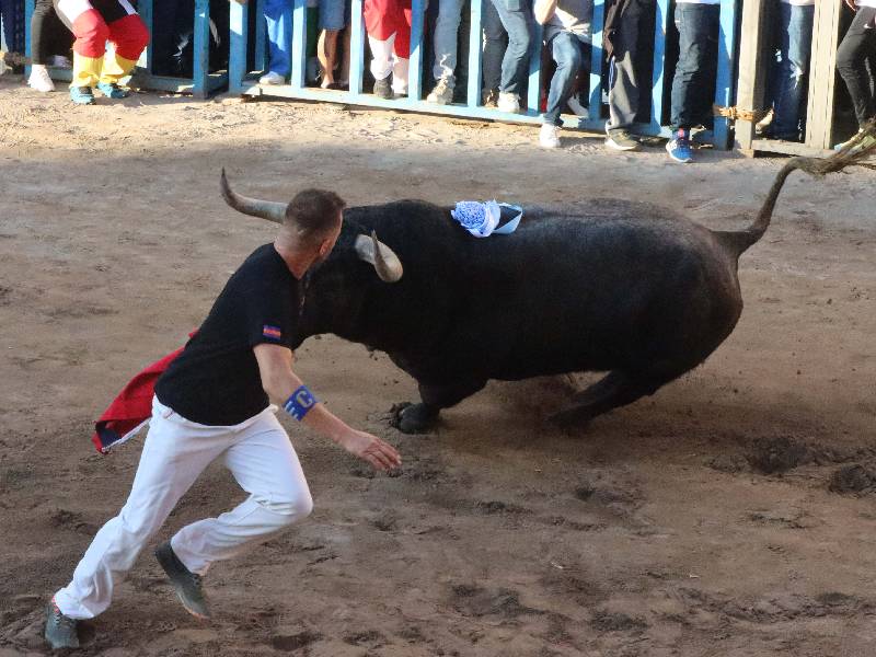 Onda recupera el bou al carrer con cerriles de Miura y Partido Resina y un encierro de Germán Vidal