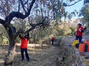 La brigada forestal del programa Emerge de Vilafamés trabaja desde el pasado mes en la prevención de incendios forestales