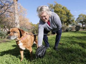 El Ayuntamiento de Almenara lanza una campaña para concienciar de la necesidad de recoger los excrementos de las mascotas