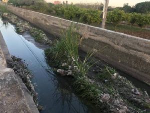 El Ayuntamiento de Almenara realiza tareas de desbroce y adecuación de los desagües naturales