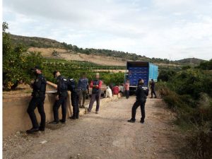 La Policía Local de Almenara controla la recolección de cítricos para evitar hurtos y malas prácticas