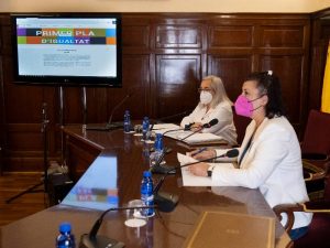 La Diputación de Castellón inicia el trabajo técnico para perfeccionar la futura estrategia provincial de igualdad entre mujeres y hombres