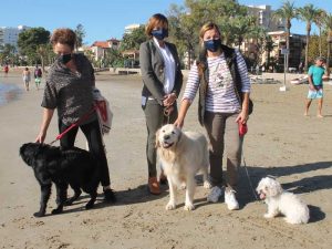 Benicàssim inaugura hoy la temporada de acceso de perros a la playa hasta el 1 de marzo