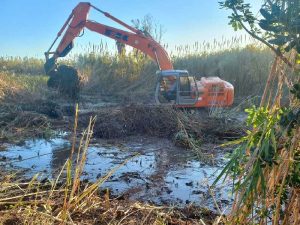 Almassora recupera la Gola Nord del Millars por 48.000 euros