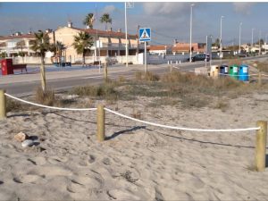 Almassora crea una zona de recuperación de la campanilla de mar en Pla de la Torre