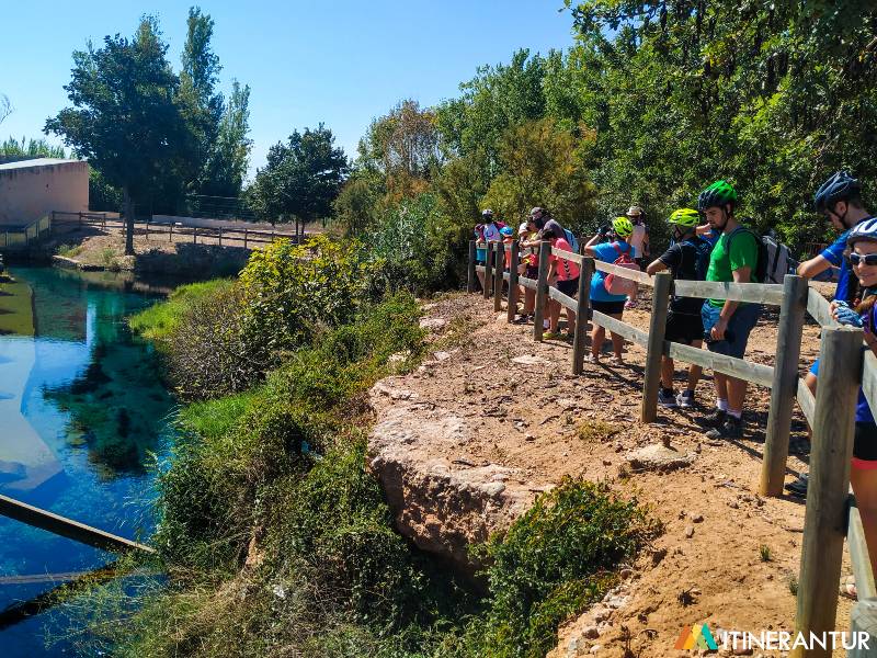 Celebrem amb la Natura reúne este año a 383 personas y refuerza la implicación ciudadana en el cuidado del entorno natural de Castellón