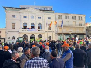 Importaciones, plagas y subida de costes asfixian las economías familiares de las personas agricultoras y profesionales de la Comunidad Valenciana