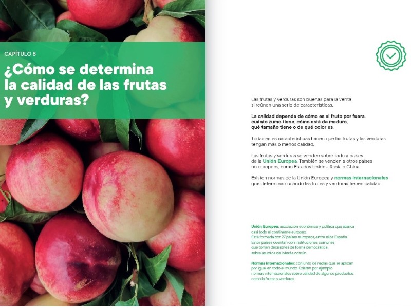 La registradora de la propiedad de Castellón, Inmaculada García Fabra, escribe una guía accesible sobre derecho agrario en la Comunidad Valenciana