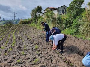 AVA-ASAJA pide a la consellera ayudas a zonas con limitaciones naturales, ganadería ecológica, razas autóctonas y arroz