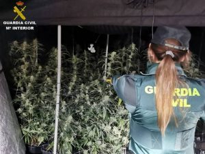 La Guardia Civil desmantela dos plantaciones dedicadas al cultivo “indoor” de marihuana en Calpe