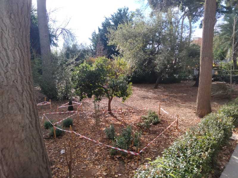 Nules restaura la vegetación del Jardín Botánico Francisco Beltrán Bigorra