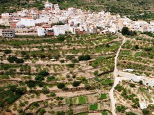 Martí promete al alcalde de Costur dar solución a la escasez de agua durante el verano en el municipio