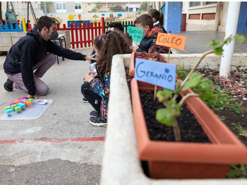 Castellón enseña en ‘Eduquem en Verd’ las variedades de la huerta y una alimentación de proximidad y saludable