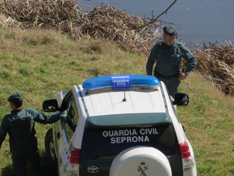 La Guardia Civil investiga a una persona por la comisión de un presunto delito relativo a la protección de la flora, fauna y animales domésticos en Fanzara