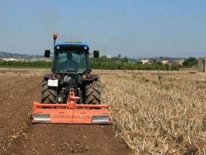 AVA-ASAJA denuncia el incremento de casi un 40% de la cuota de autónomo para los agricultores