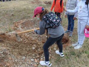 El alumnado de Burriana reforesta la zona de la Malva-rosa con arbustos Taray