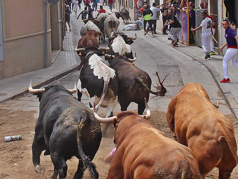 Almassora homenajeará el viernes a personas y entidades vinculadas con el mundo del toro