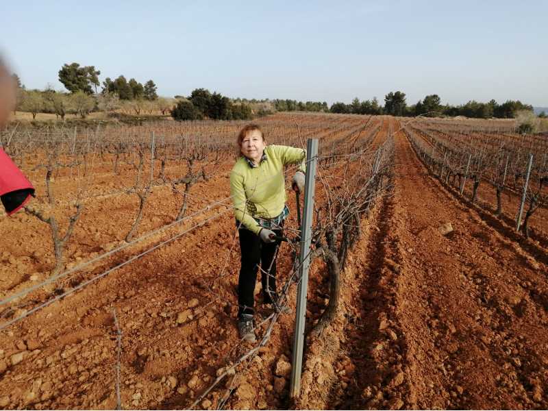 LA UNIÓ: «Sólo 17 mujeres están dadas de alta en el registro de explotaciones agrarias de la Comunidad»