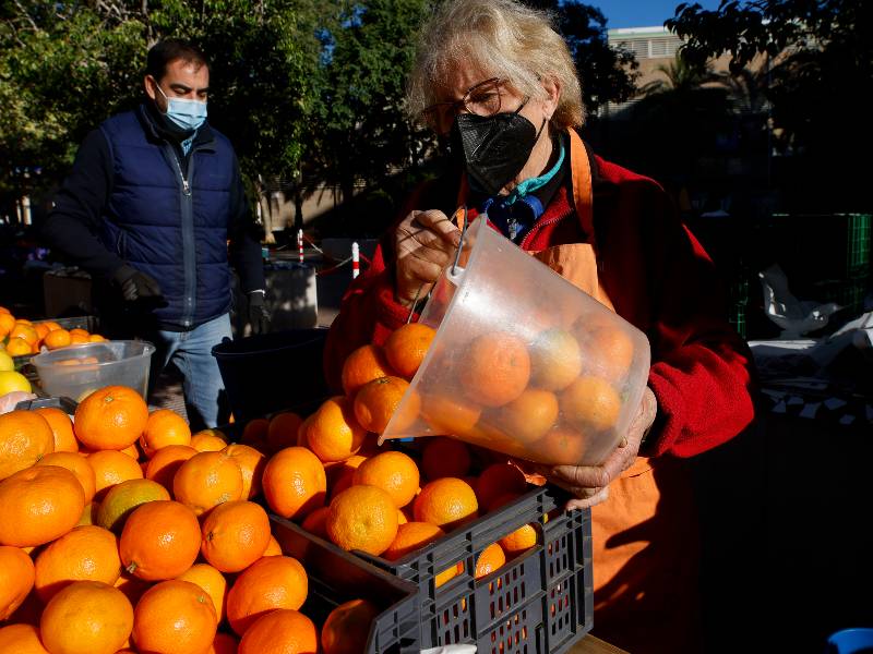 El Consistorio promociona la naranja para animar a su consumo