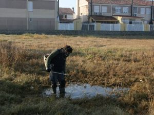 El Ayuntamiento de Almazora incrementa la inversión en la lucha contra los mosquitos en un 23%