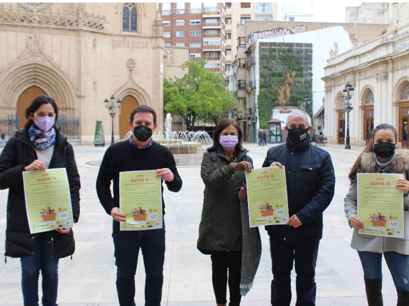 Castellón promueve la esterilización de animales adoptados para impulsar el «sacrificio cero»