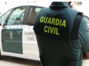 La Guardia Civil de Castellón destapa la estafa en la venta de animales de compañía por internet