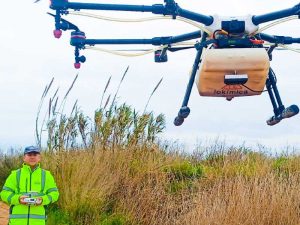 Nules inicia este miércoles un tratamiento aéreo anti mosquitos ante las intensas lluvias registradas