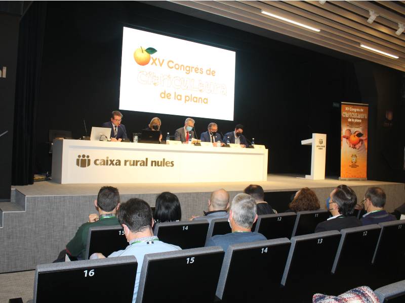 El XV Congreso de Citricultura apuesta por la diferenciación de la Clemenules para mayor beneficio del agricultor